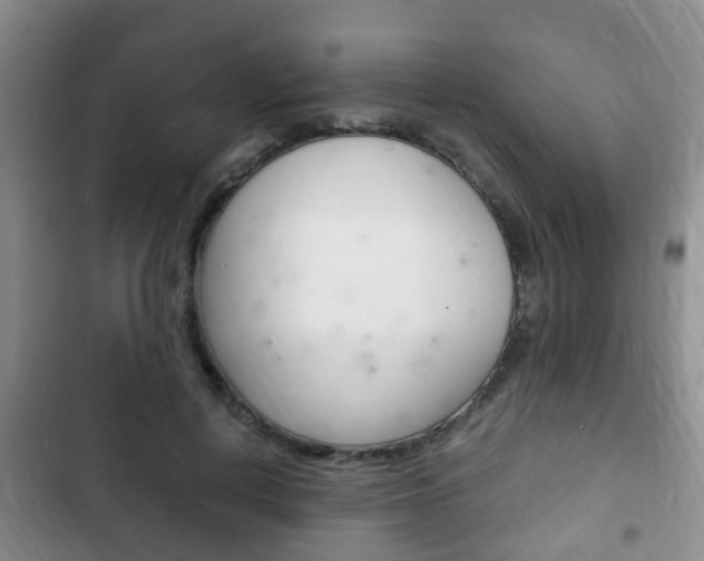 X0000102760648200808180932