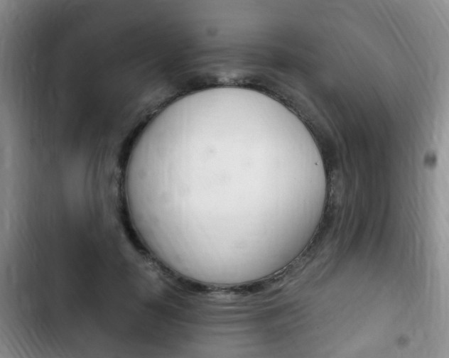 X0000102760650200808180932