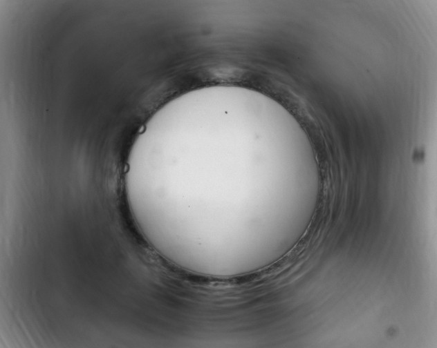 X0000102760651200808180932