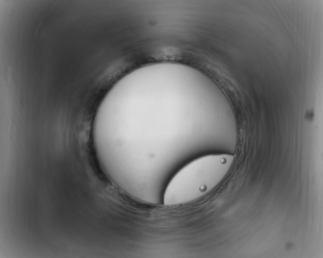 X0000102760652200808180932