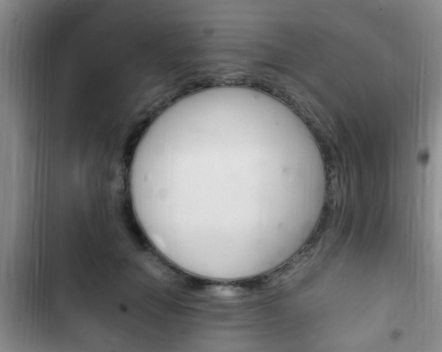 X0000102760654200808180932