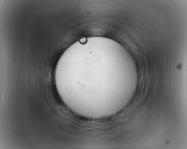 X0000102760655200808180932