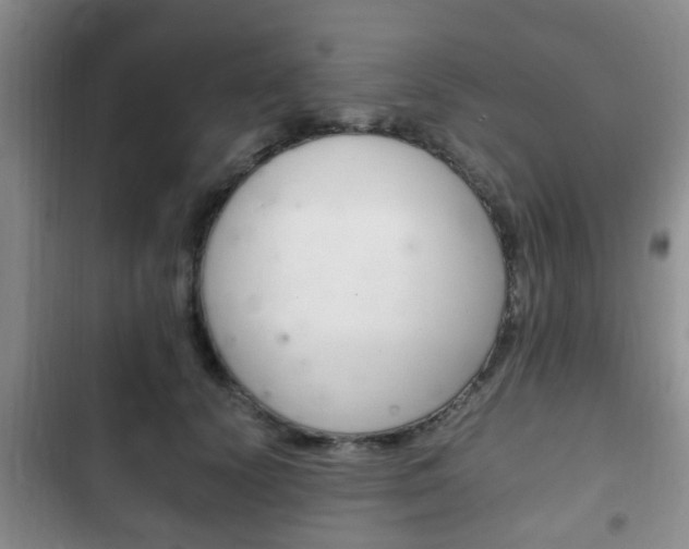 X0000102760656200808180932
