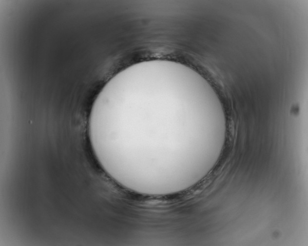 X0000102760657200808180932