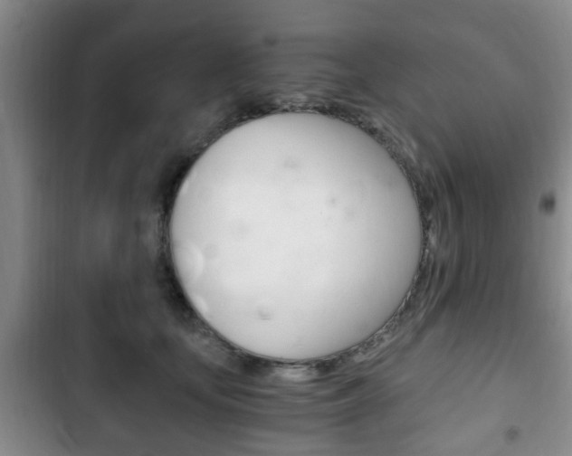 X0000102760659200808180932