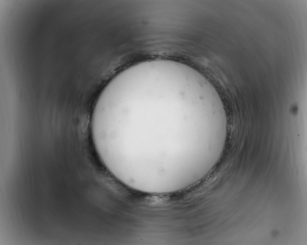 X0000102760660200808180932