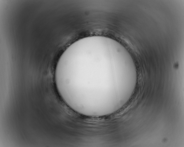 X0000102760661200808180932