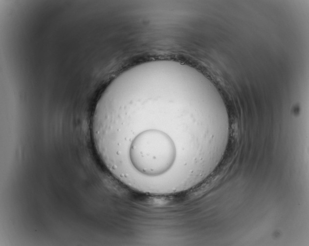 X0000102760662200808180932
