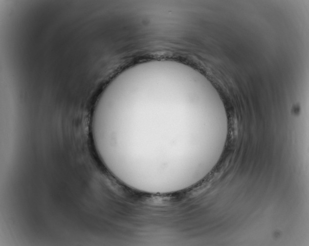 X0000102760664200808180932