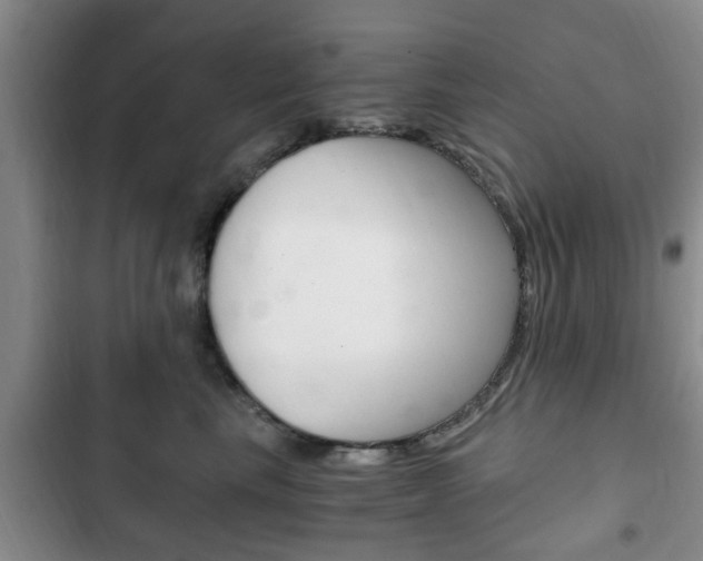 X0000102760665200808180932