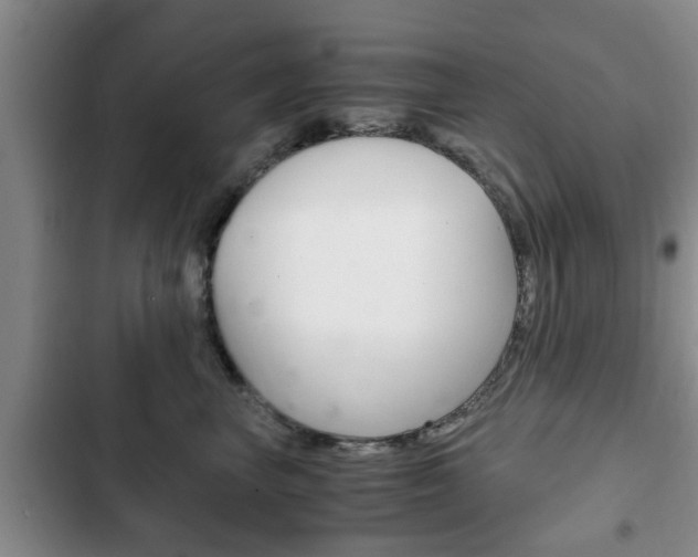 X0000102760667200808180933
