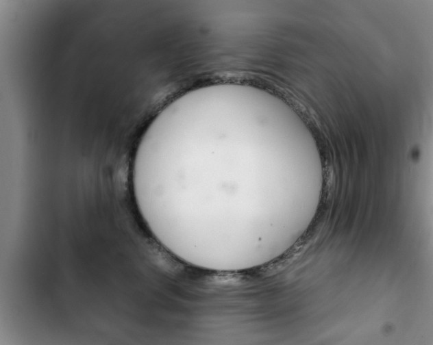 X0000102760668200808180933
