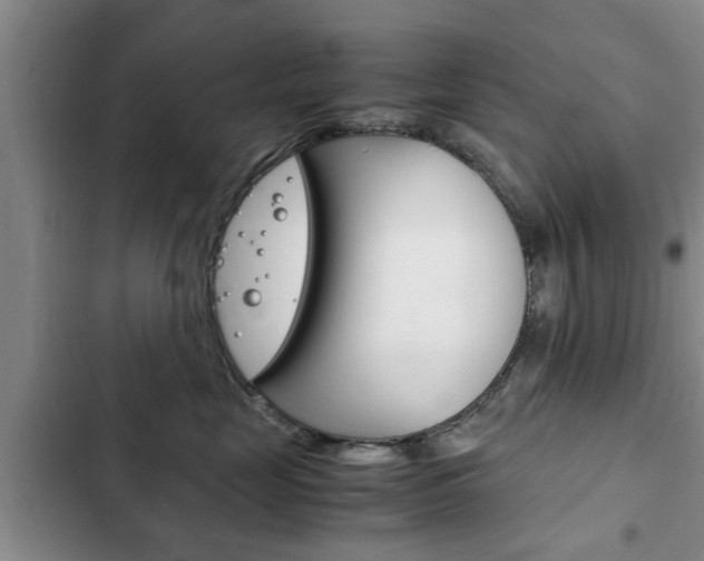 X0000102760669200808180933