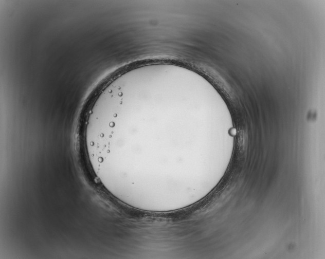 X0000102760676200808180932