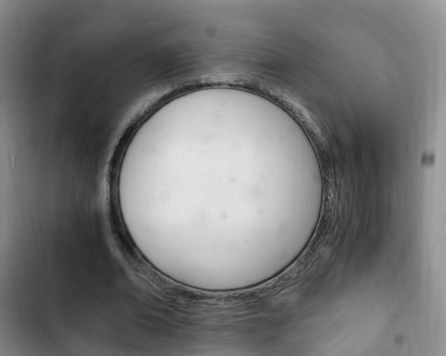 X0000102760678200808180932