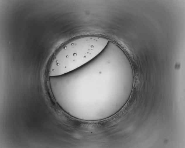 X0000102760679200808180932