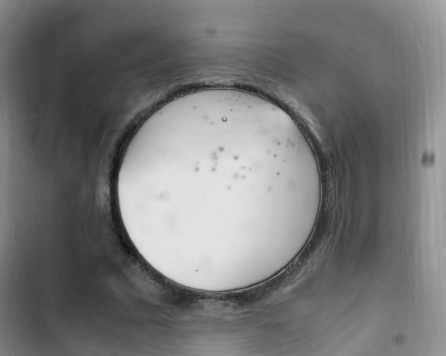 X0000102760681200808180932