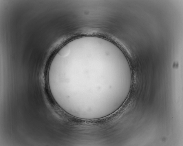 X0000102760682200808180932