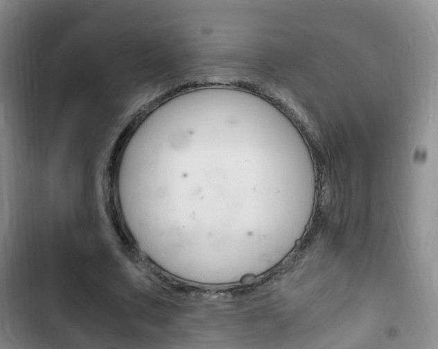 X0000102760683200808180932