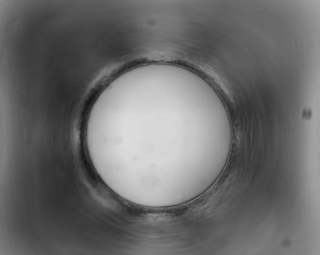 X0000102760686200808180932