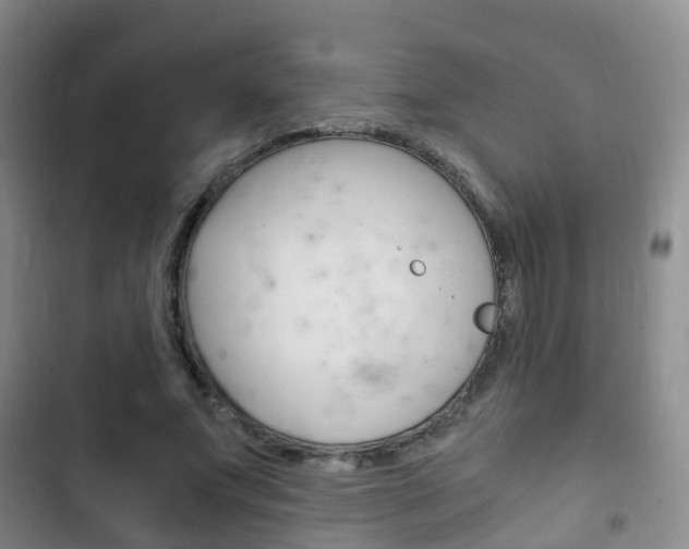 X0000102760687200808180932
