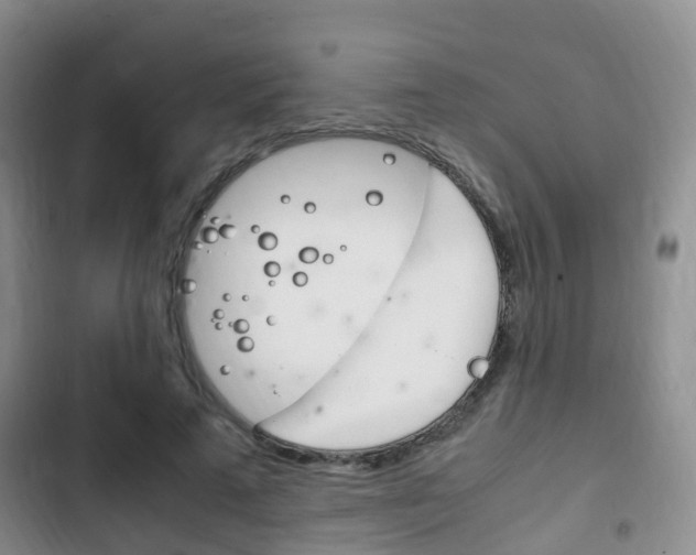 X0000102760689200808180932