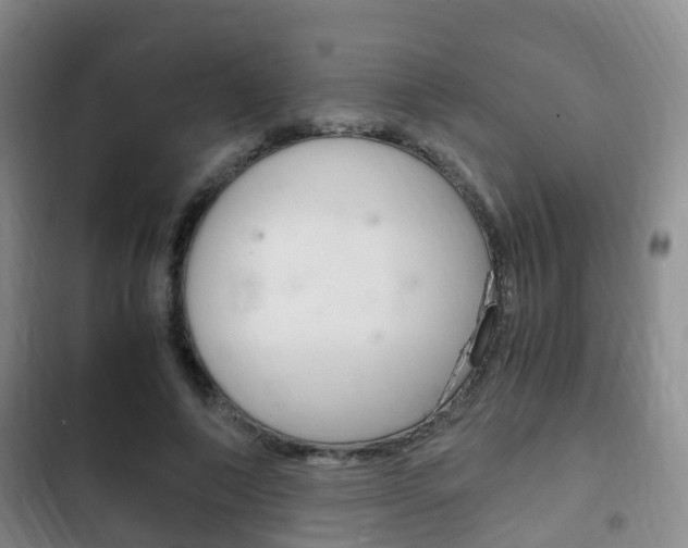 X0000102760690200808180932