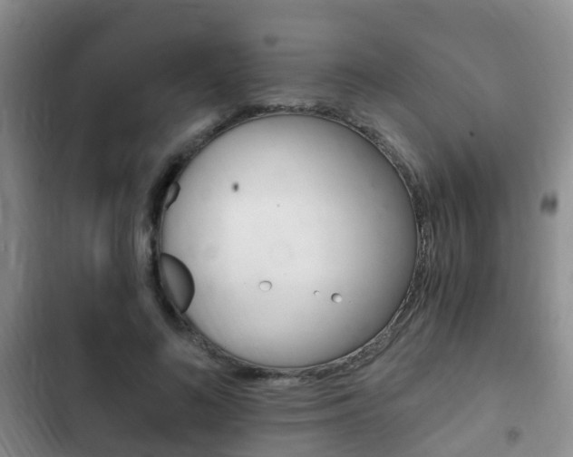 X0000102760692200808180931