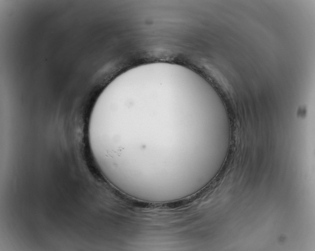 X0000102760693200808180931