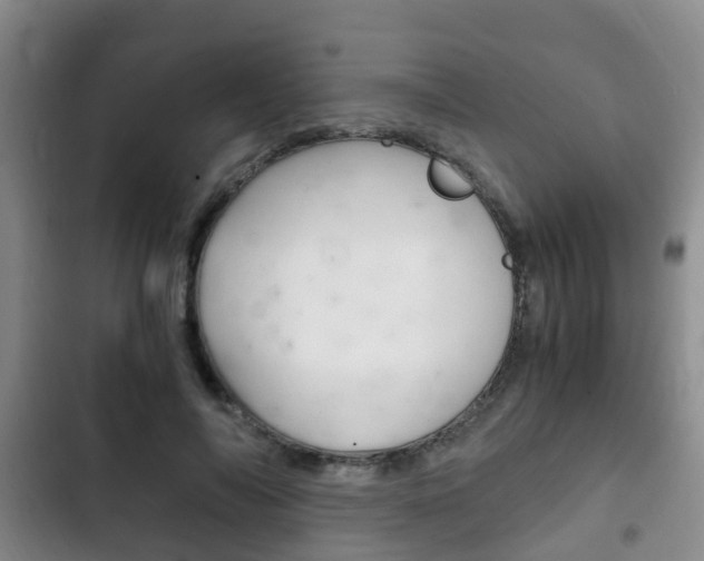 X0000102760694200808180931