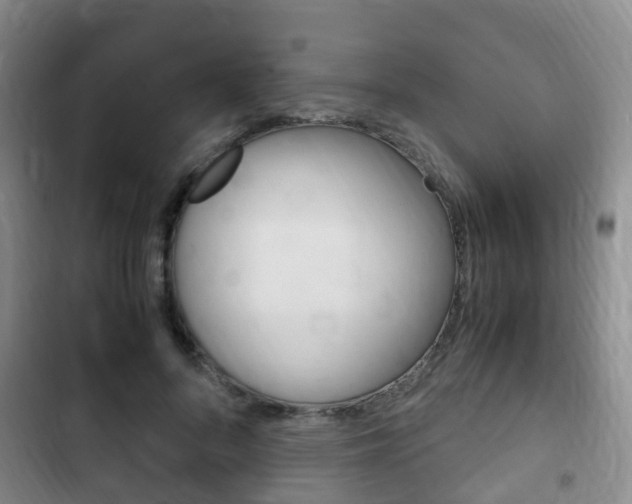 X0000102760696200808180931