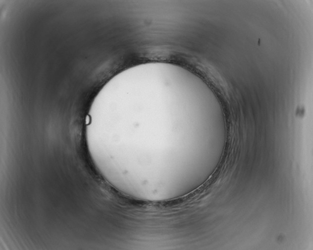X0000102760697200808180931