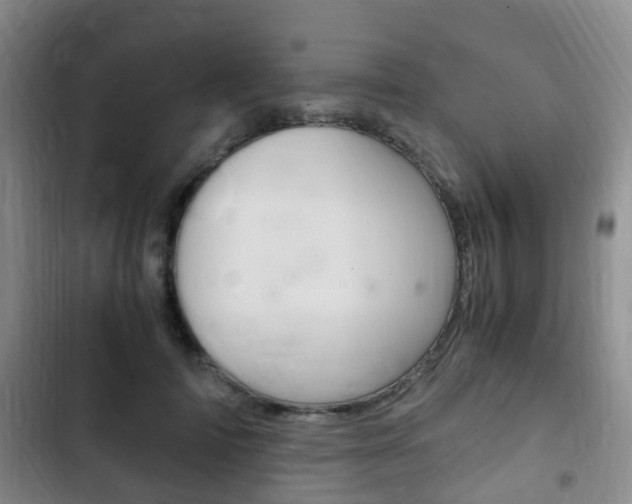 X0000102760698200808180931