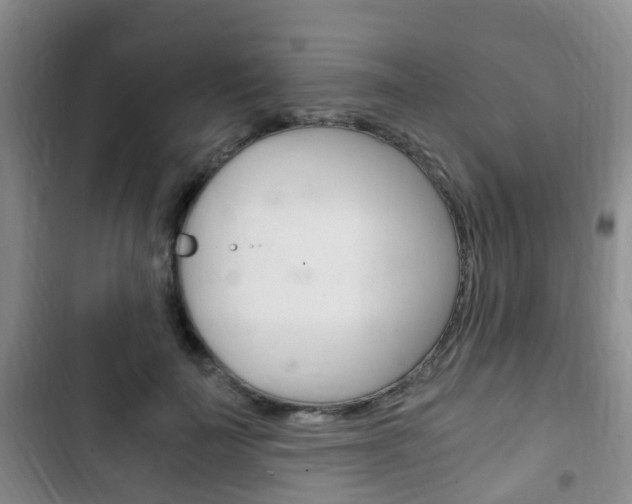 X0000102760699200808180931