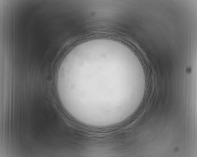 X0000102760701200808180931