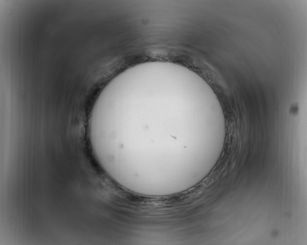 X0000102760702200808180931