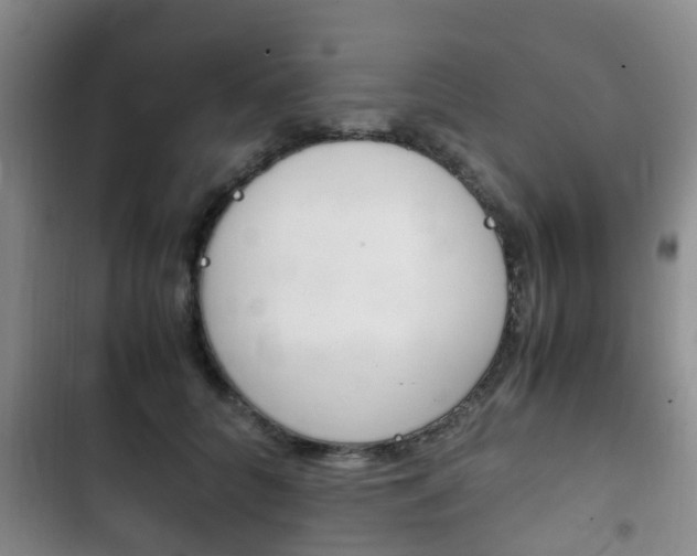 X0000102760704200808180931