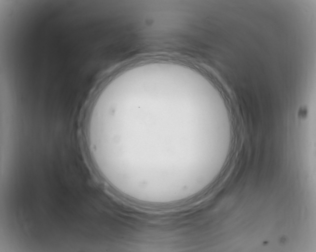 X0000102760705200808180931