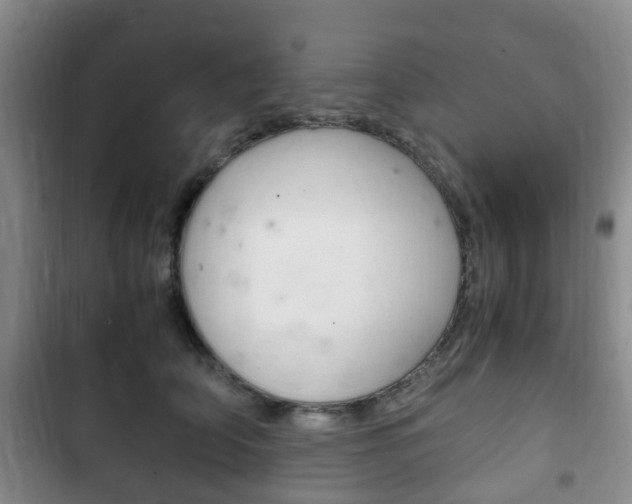 X0000102760706200808180931