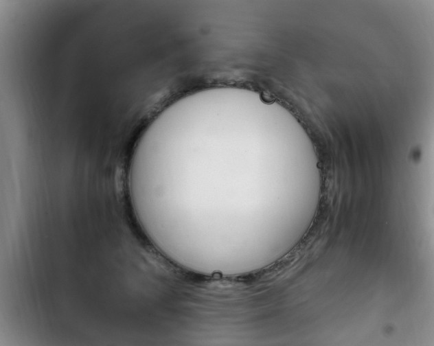 X0000102760708200808180931