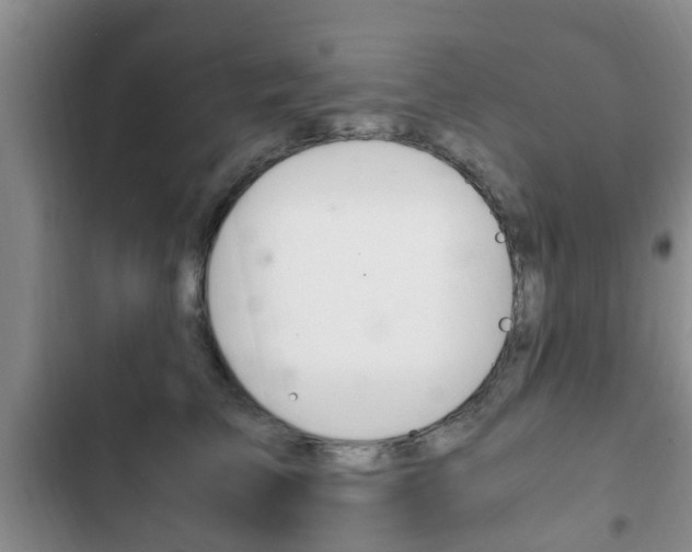 X0000102760709200808180931