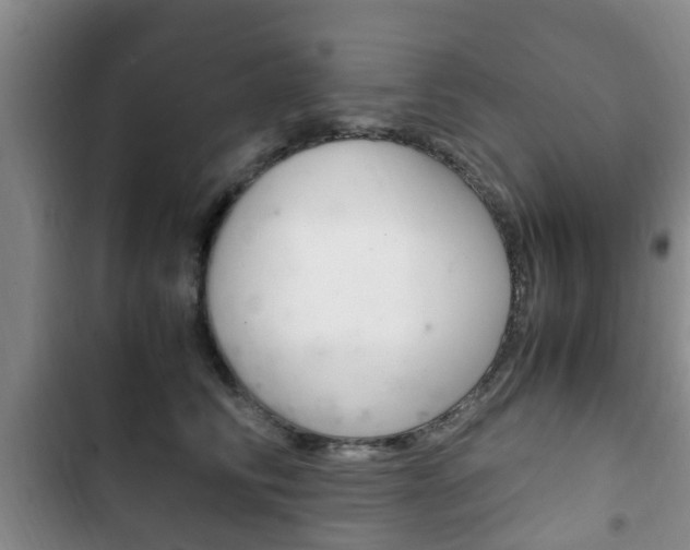 X0000102760710200808180931