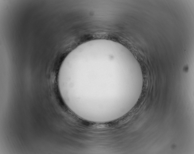 X0000102760711200808180931