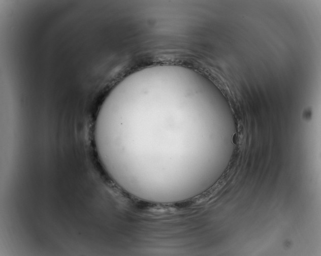 X0000102760712200808180931