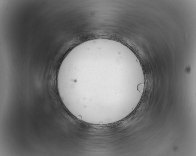 X0000102760713200808180931