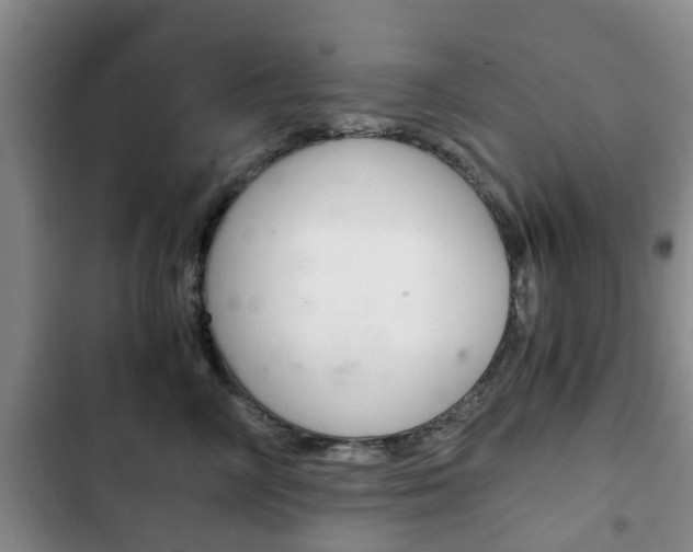 X0000102760714200808180931