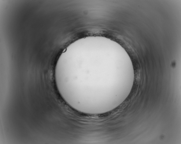 X0000102760715200808180931