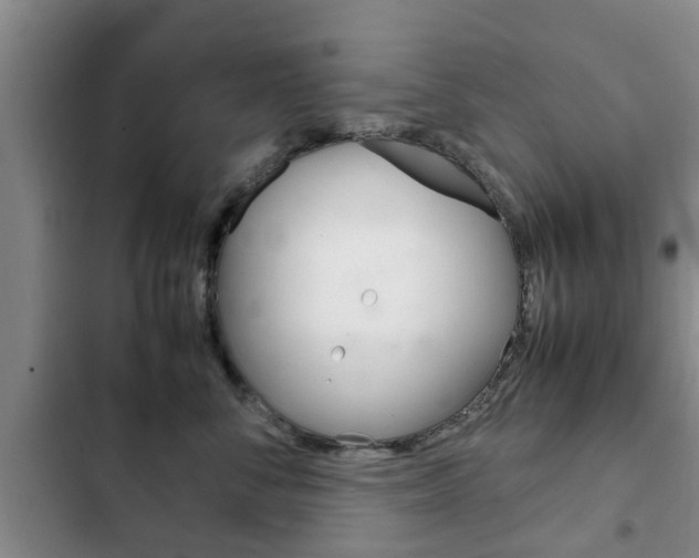 X0000102760716200808180931