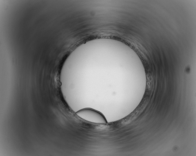 X0000102760718200808180931