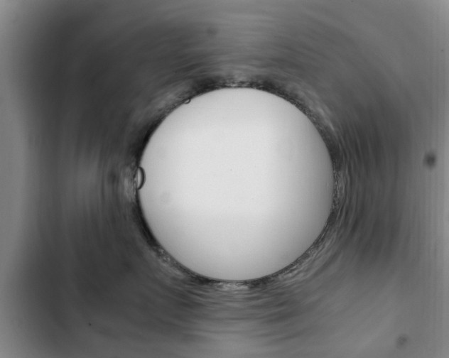 X0000102760719200808180931